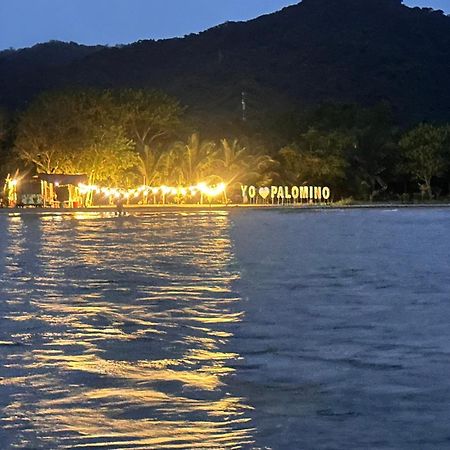 Donama River بالومينو المظهر الخارجي الصورة