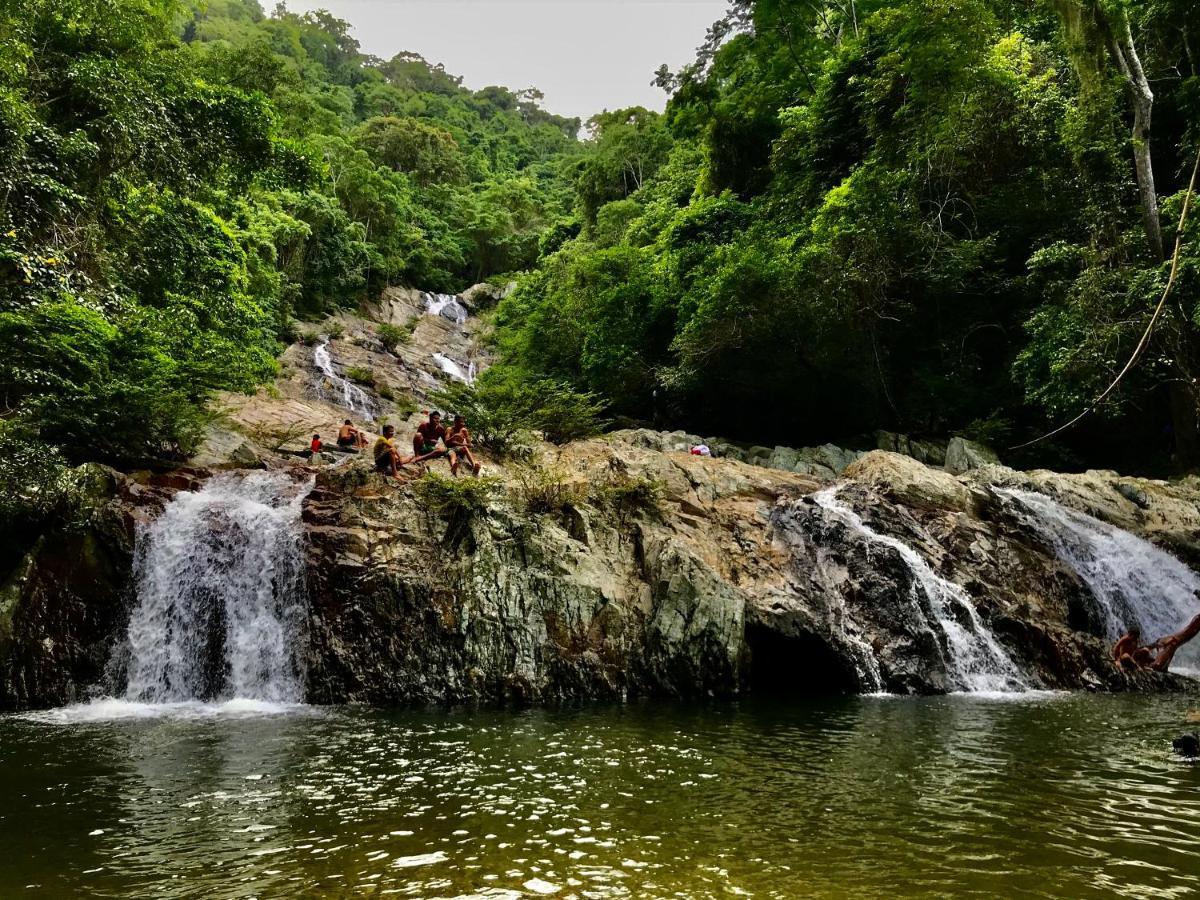 Donama River بالومينو المظهر الخارجي الصورة