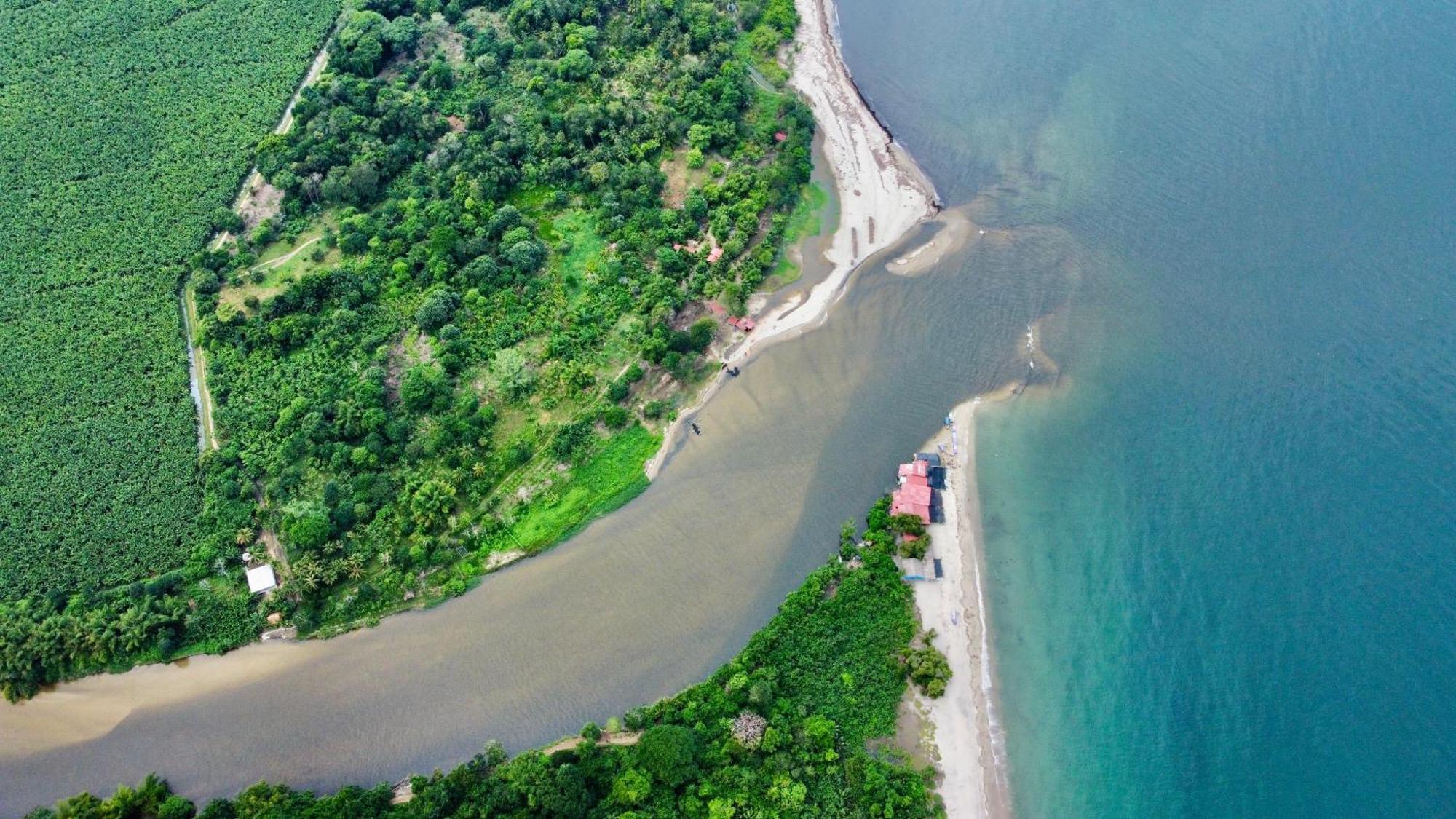 Donama River بالومينو المظهر الخارجي الصورة