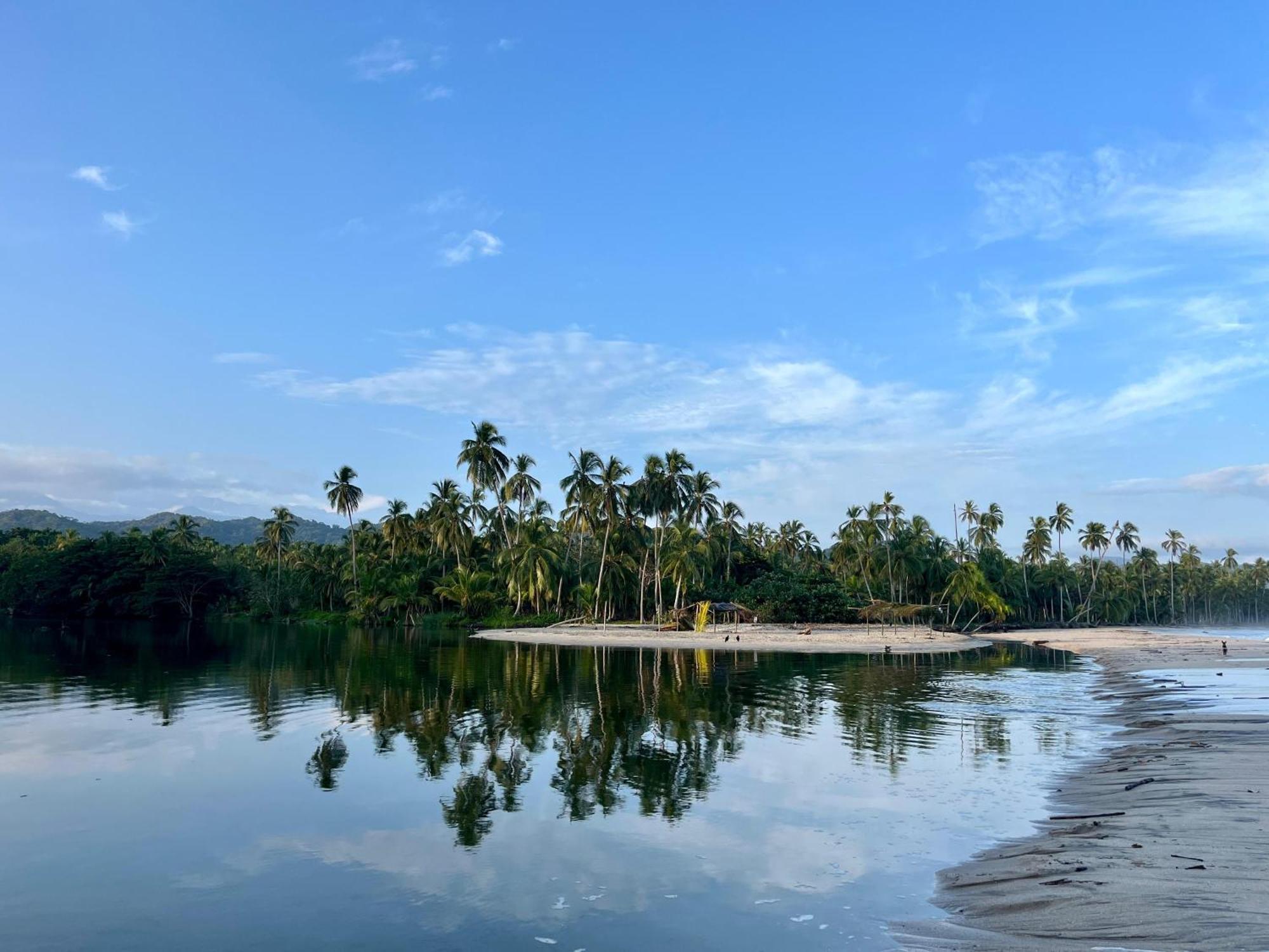 Donama River بالومينو المظهر الخارجي الصورة